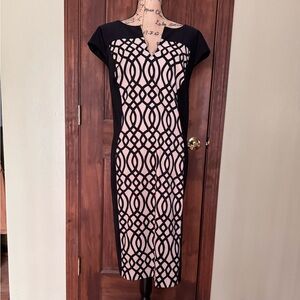 dressbarn dress size 20